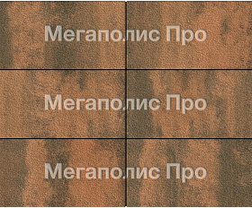 Тротуарная плитка Выбор Прямоугольник Б.5.П.8 600х300х80 мм Листопад Гранит Мустанг