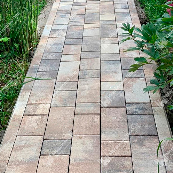 Тротуарная плитка Выбор Старый город Листопад 1Ф.6 60 мм Песчаник фото 3