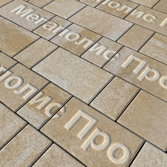 Тротуарная плитка Выбор Старый город Искусственный камень 1Ф.6 60 мм. Степняк фото 1