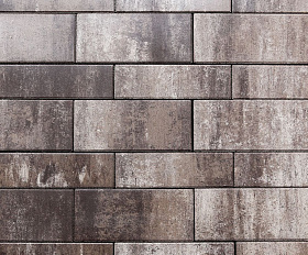 Тротуарная плитка Выбор Паркет мультиформатный Б.9.Псм.8 80 мм Листопад Хаски