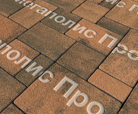 Тротуарная плитка Выбор Мюнхен Б.2. Фсм.6 60 мм Листопад гранит Мустанг