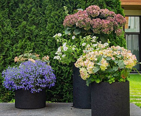 Кашпо Concretika Cone D24 H26 Slanets