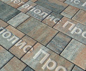 Тротуарная плитка Выбор Старый город Листопад 1Ф.6 60 мм Клен