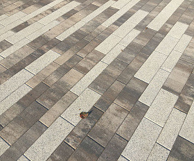 Тротуарная плитка Выбор Паркет мультиформатный Б.9.Псм.8 80 мм Листопад Песчаник