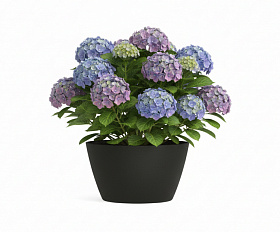 Кашпо Concretika Боул D80H45 Идеально черный