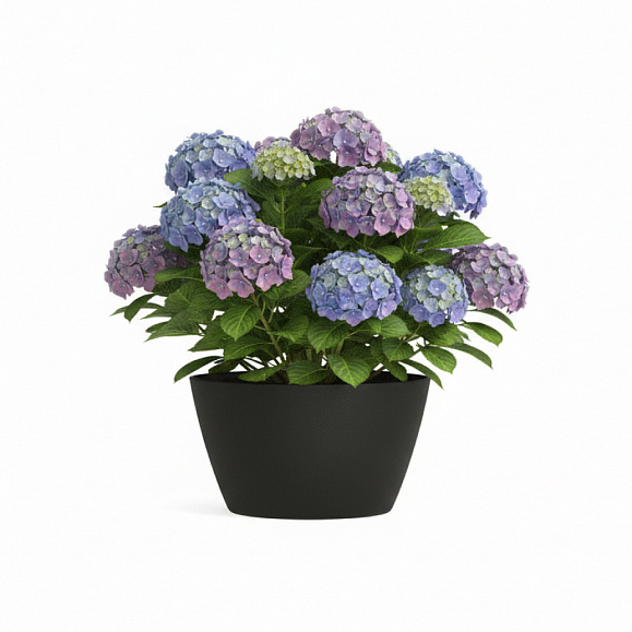 Кашпо Concretika Боул D80H45 Идеально черный фото 6