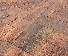 Тротуарная плитка Выбор Старый город Листопад 1Ф.6 60 мм. Арабская ночь Гранит