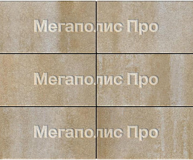 Тротуарная плитка Выбор Прямоугольник Б.5.П.8 600х300х80 мм Искусственный камень Степняк