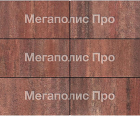 Тротуарная плитка Выбор Прямоугольник Б.5.П.10 600х300х100 мм Листопад Барселона