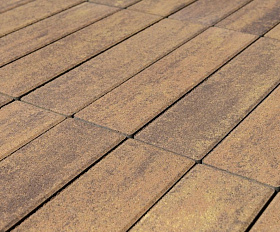 Тротуарная плитка Braer Ригель 320x80x60 мм Colormix Прайд