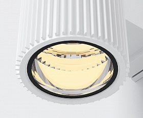 Настенный светильник (бра) Rando Maytoni O419WL-02W цвет Белый