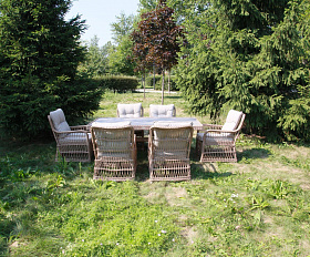 Обеденный комплект Isabella Royal Family из искусственного ротанга, цвет бежевый