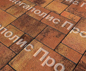 Тротуарная плитка Выбор Мюнхен Б.2. Фсм.6 60 мм Листопад гранит Саванна