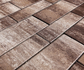 Тротуарная плитка Выбор Паркет мультиформатный Б.9.Псм.8 80 мм Листопад Хаски