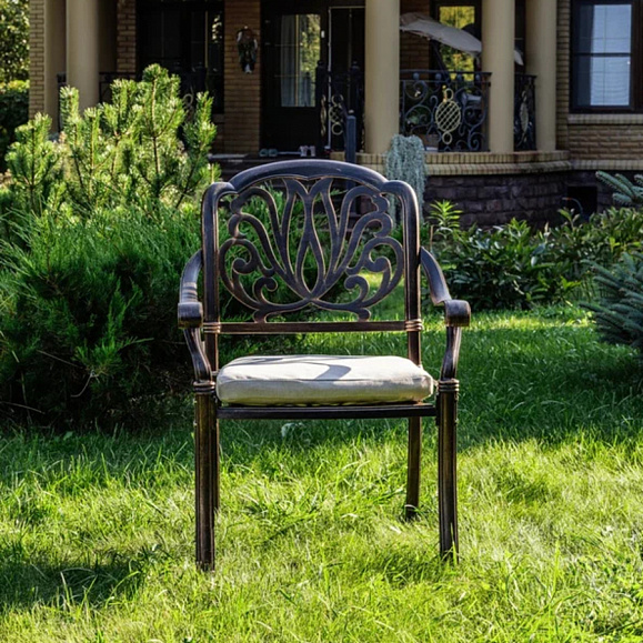 Обеденное кресло Wilhelm Royal Family из литого алюминия фото 2