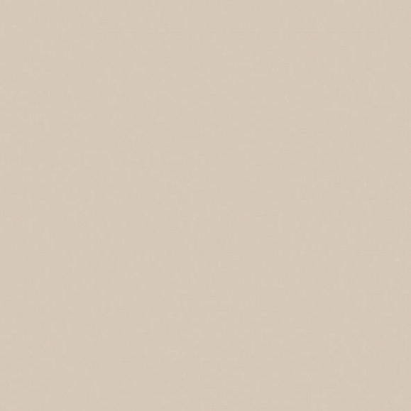 Керамогранитная плитка Estima RW01 60x60 см неполированный фото 1