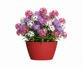 Кашпо Concretika Боул D80H45 Ред 3000