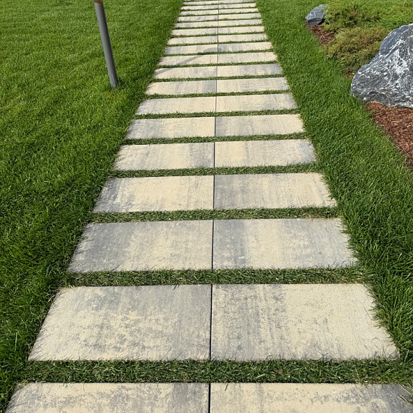 Пошаговая плита для дорожек 600х300х80 мм Серо-белая фото 2