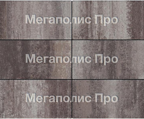 Тротуарная плитка Выбор Прямоугольник Б.5.П.10 600х300х100 мм Листопад Хаски