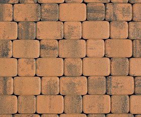 Тротуарная плитка Выбор Классико Листопад Б.1.КО.6 М 60 мм Мустанг