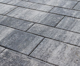 Тротуарная плитка Выбор Паркет мультиформатный Б.9.Псм.8 80 мм Листопад Кварцит