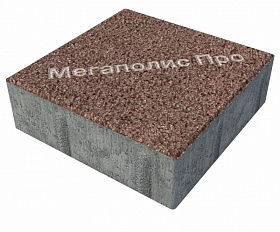 Тротуарная плитка Фабрика Готика Квадрат 200х200х60 мм Сильвер 7