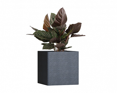 Кашпо Concretika Qadro 50x50x50 Basalt