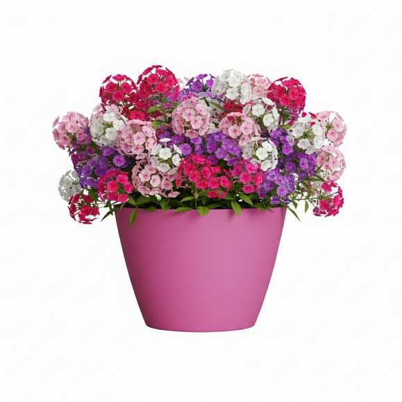 Кашпо Concretika Боул D80H45 Пинк 4010 фото 6