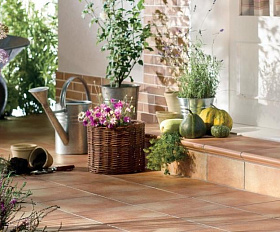 Фронтальная ступень WKS31200 Westerwalder Klinker Mont Marte