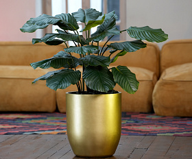 Кашпо Concretika Йар D46H110 Голд