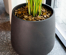 Кашпо Concretika Bowl D52 H29 Nero
