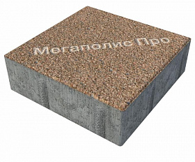 Тротуарная плитка Фабрика Готика Квадрат 200х200х60 мм Сильвер 16