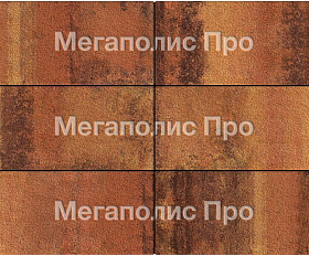Тротуарная плитка Выбор Прямоугольник Б.5.П.10 600х300х100 мм Листопад Гранит Саванна
