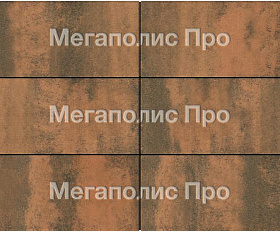 Тротуарная плитка Выбор Прямоугольник Б.5.П.8 600х300х80 мм Листопад Мустанг
