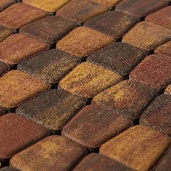 Тротуарная плитка Braer Классико круговая 60 мм, ColorMix Мальва фото 4