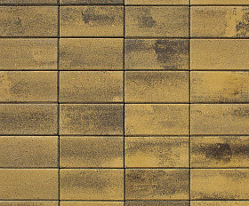 Брусчатка Прямоугольник Листопад 2.П.4 40 мм. Янтарь