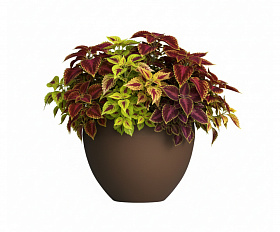 Кашпо Concretika Гира D50H43 Браун 050 3020