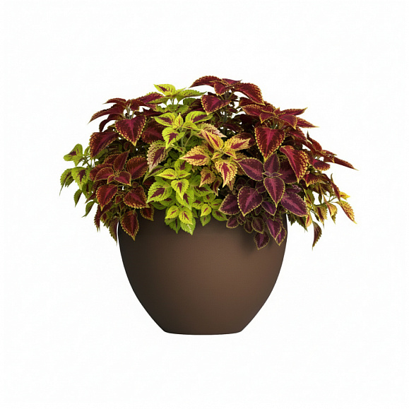 Кашпо Concretika Гира D50H43 Браун 050 3020 фото 6