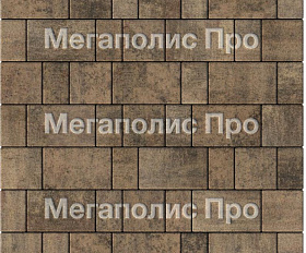 Тротуарная плитка Выбор Старый город Листопад 1Ф.6 60 мм Шелковица