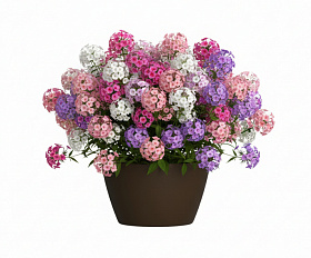 Кашпо Concretika Боул D80H45 Дарк браун 8028