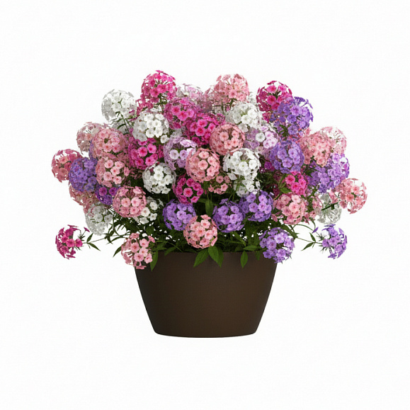 Кашпо Concretika Боул D80H45 Дарк браун 8028 фото 6