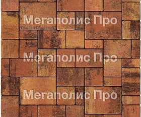 Тротуарная плитка Выбор Мюнхен Б.2. Фсм.6 60 мм Листопад Саванна