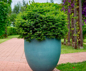 Кашпо Concretika Bowl D80 H45 Cloudy Blue