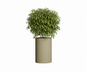 Кашпо Concretika Тюб Макси D40H60 Имбирный 1019