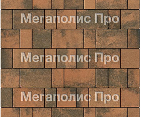 Тротуарная плитка Выбор Старый город Листопад 1Ф.6 60 мм Мустанг