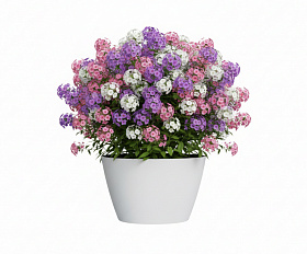 Кашпо Concretika Боул D80H45 Снежный