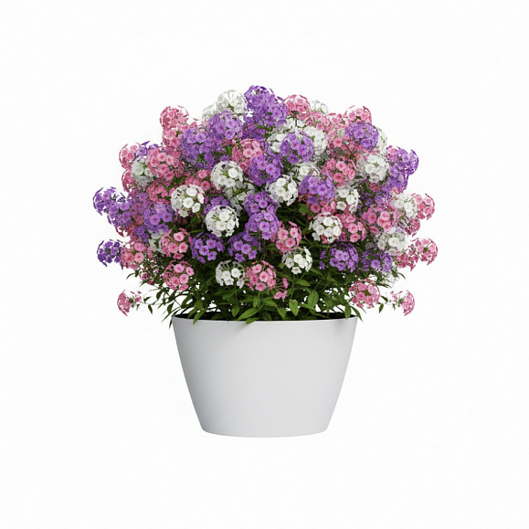 Кашпо Concretika Боул D80H45 Снежный фото 6