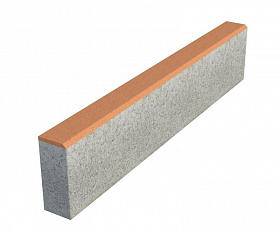 Бордюр тротуарный Выбор БР 100х20х8 Стандарт Оранжевый