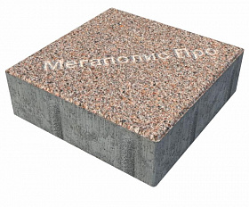 Тротуарная плитка Фабрика Готика Квадрат 200х200х60 мм Сильвер 1