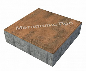 Тротуарные плиты Выбор Квадрат Б.1.К.6 300х300х60 мм Листопад Мустанг